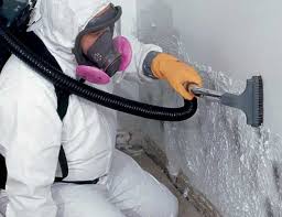 Environmental Consulting for Mold Prevention in Collierville, CA